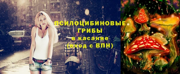 прущая мука Надым