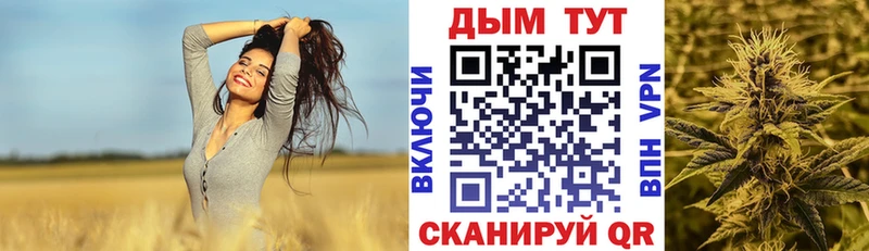 Конопля сатива  Купить где  Кольчугино 